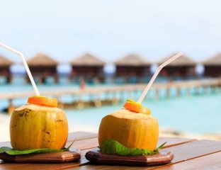 ЭкзотикСтарМир