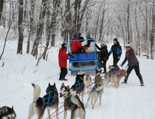 Дальгео Турс
