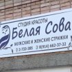 Белая сова