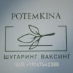 POTEMKINA