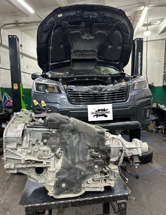 Фото организации