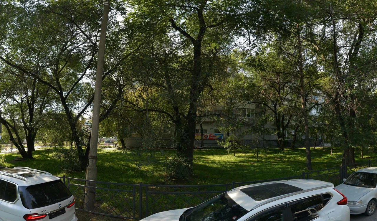 Фото организации