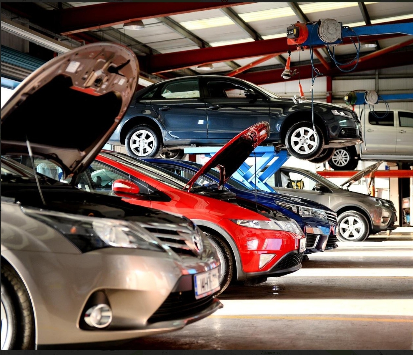 Фото организации