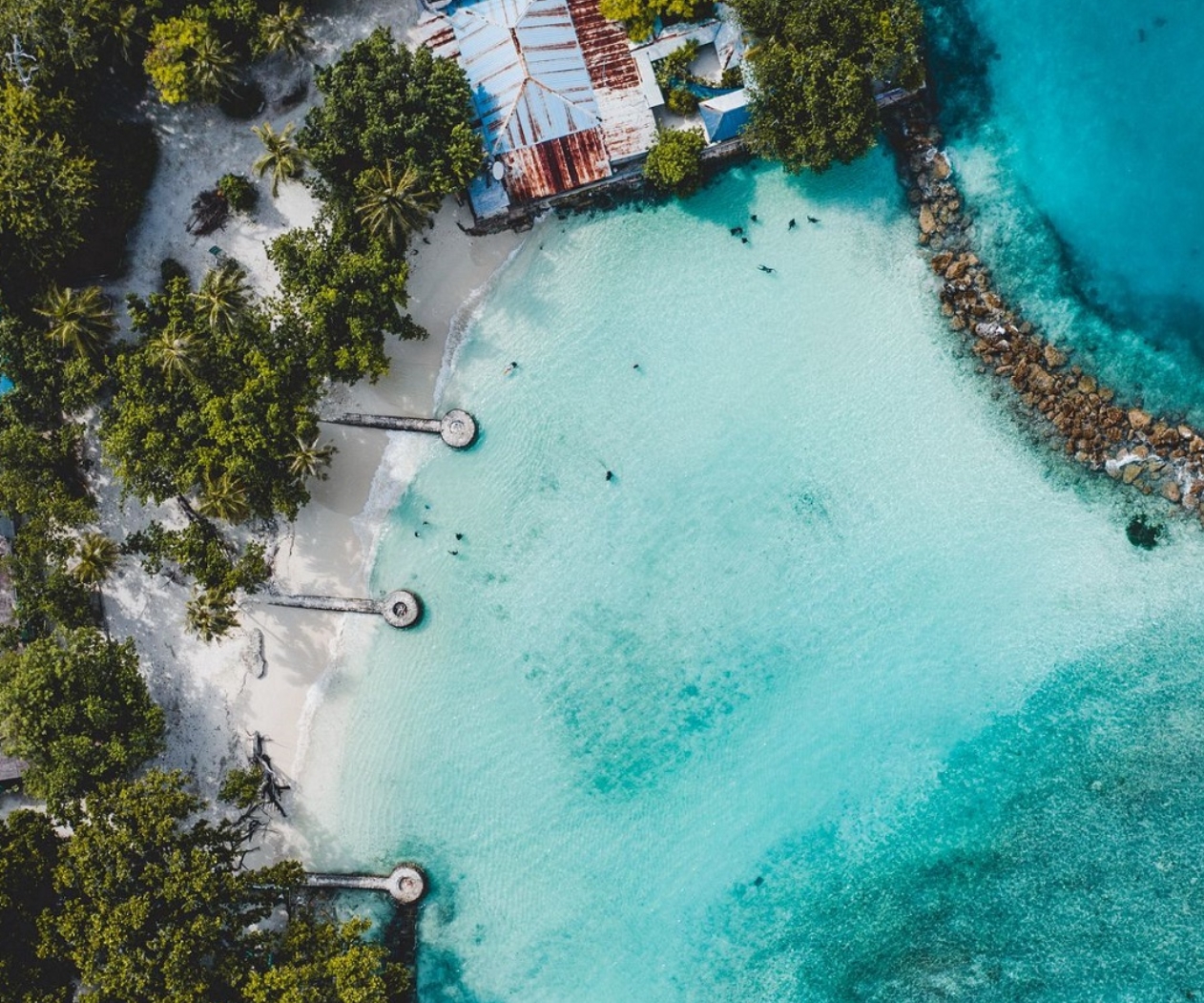 Фото организации