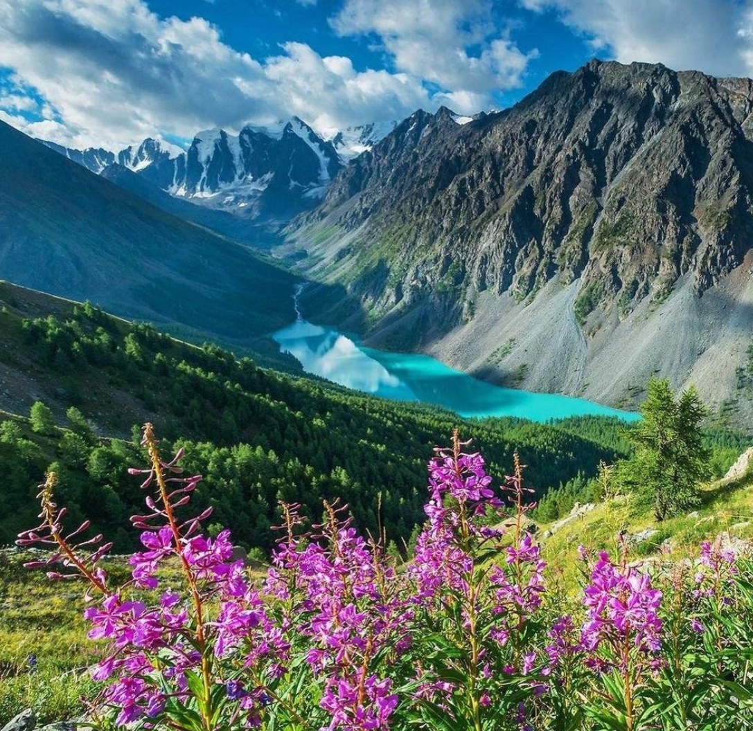 Фото организации