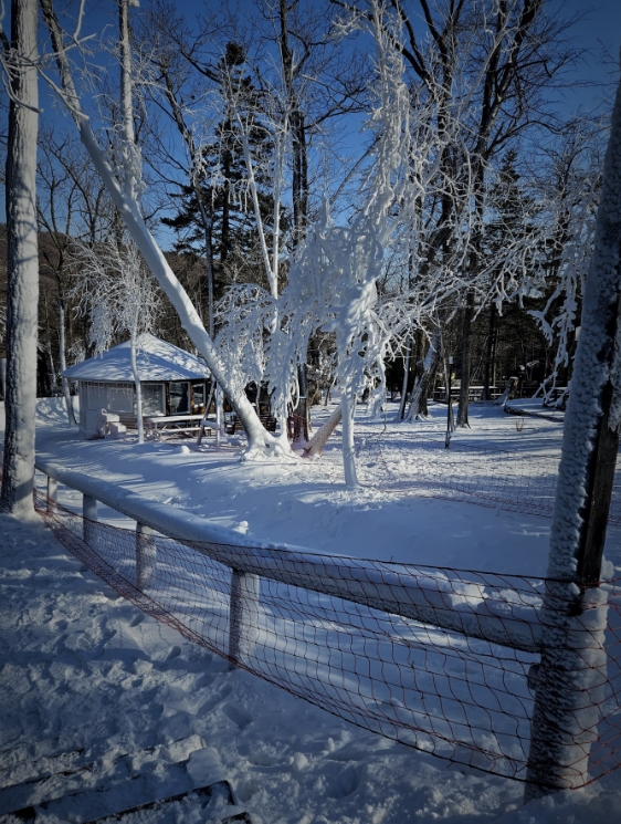 Фото организации