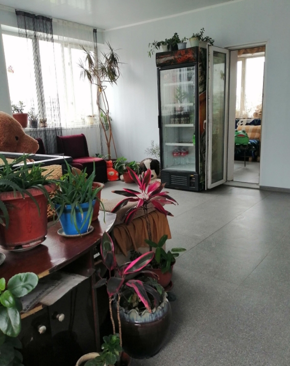 Фото организации