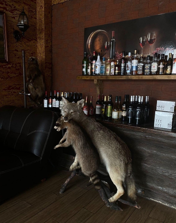 Фото организации