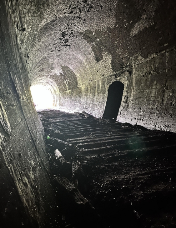 Фото организации