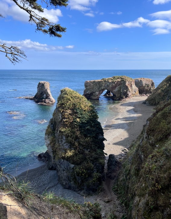 Фото организации