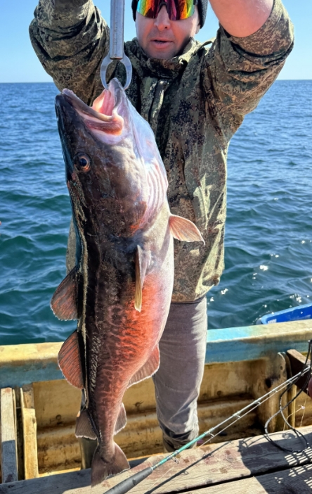 Фото организации