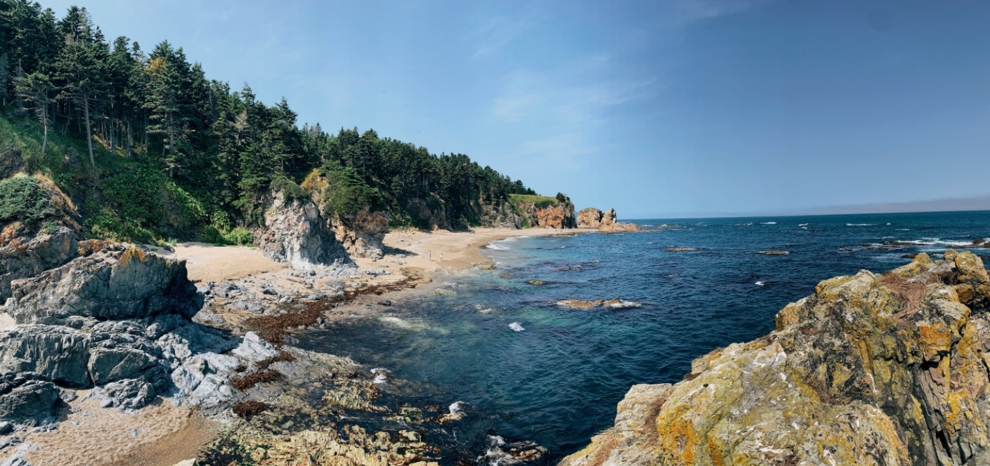 Фото организации