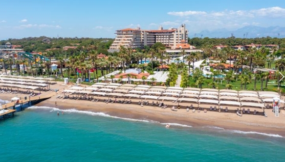 Фото организации