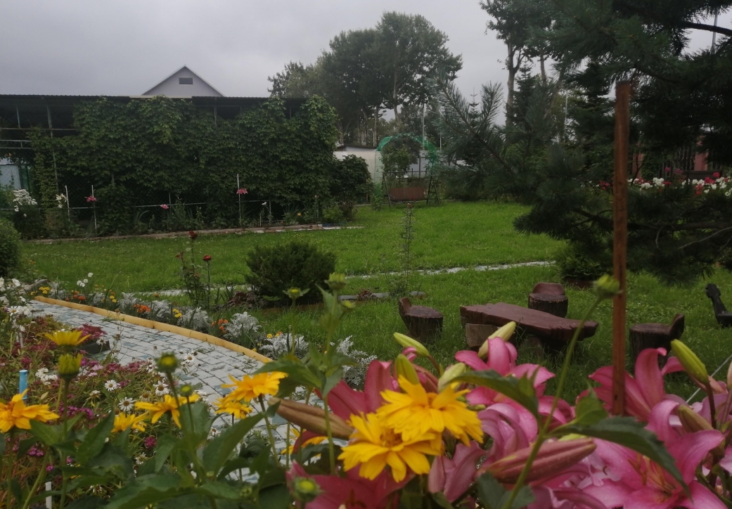 Фото организации