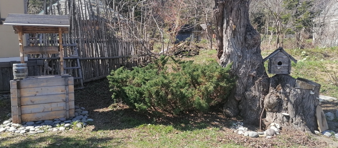 Фото организации