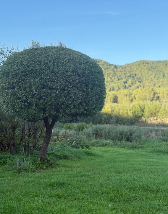 Фото организации