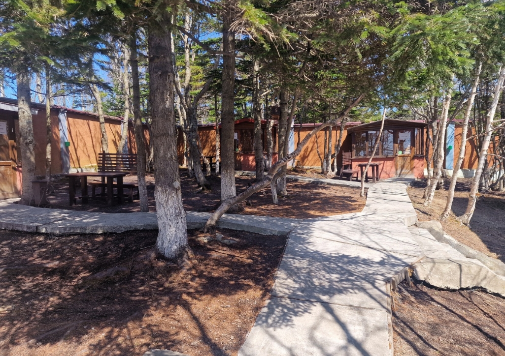 Фото организации