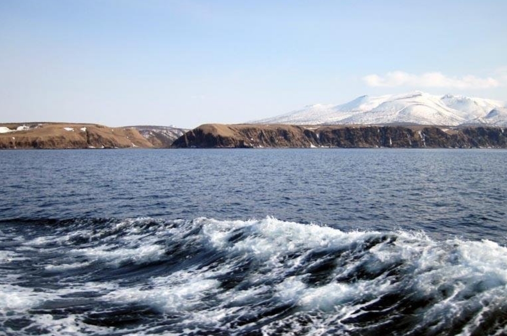 Фото организации