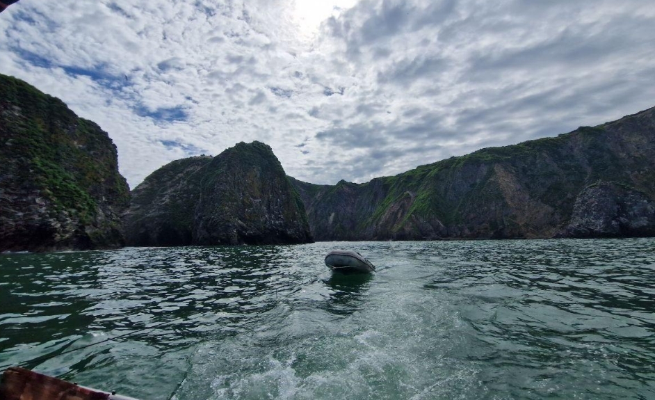 Фото организации