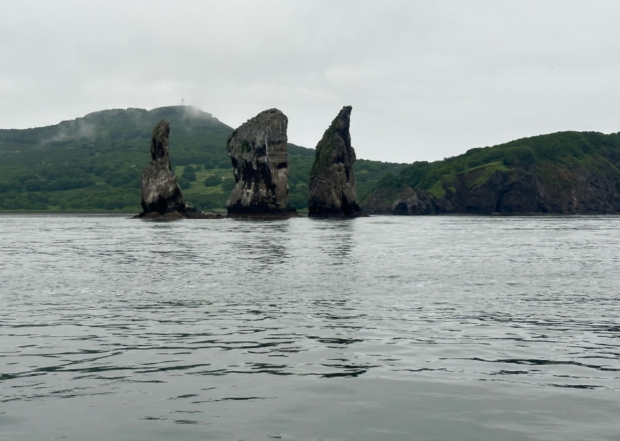 Фото организации