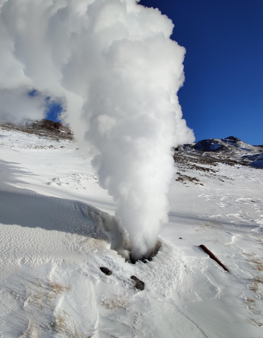Фото организации