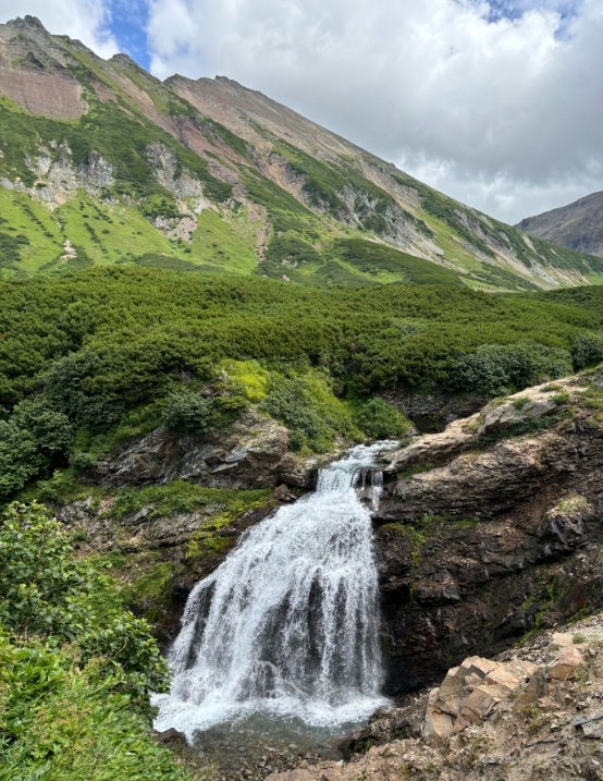 Фото организации