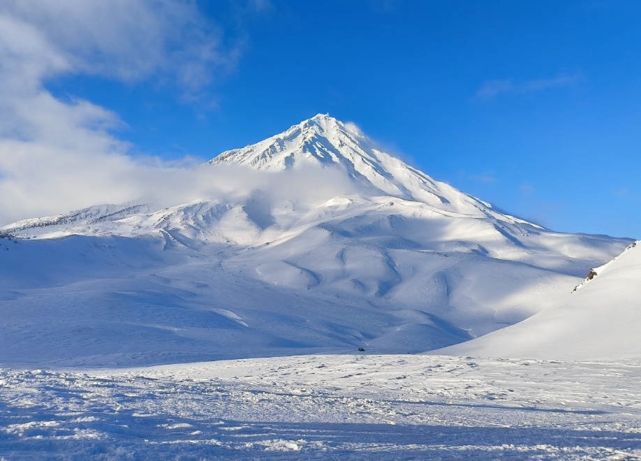 Фото организации