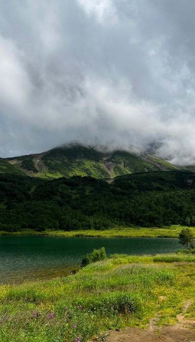 Фото организации