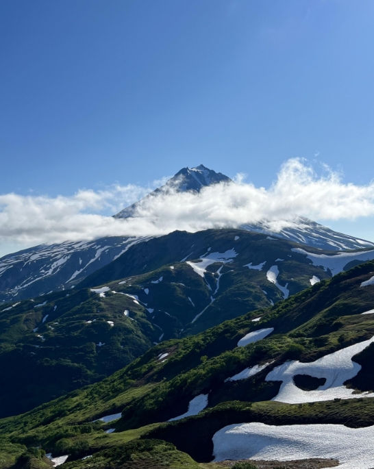 Фото организации