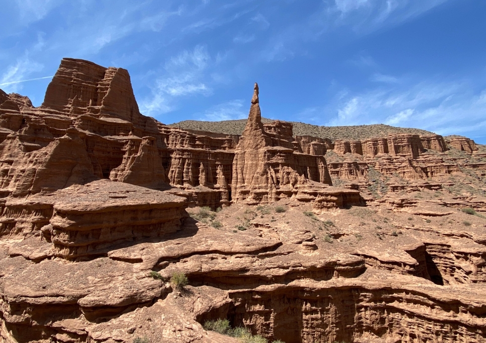 Фото организации