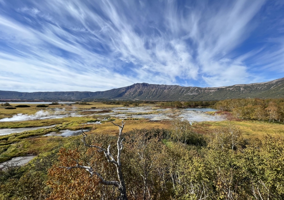 Фото организации