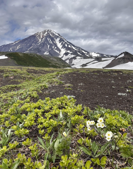 Фото организации