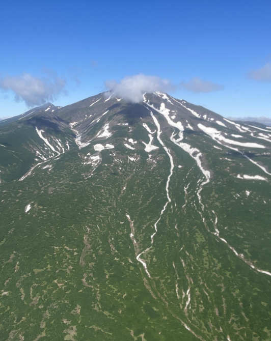 Фото организации