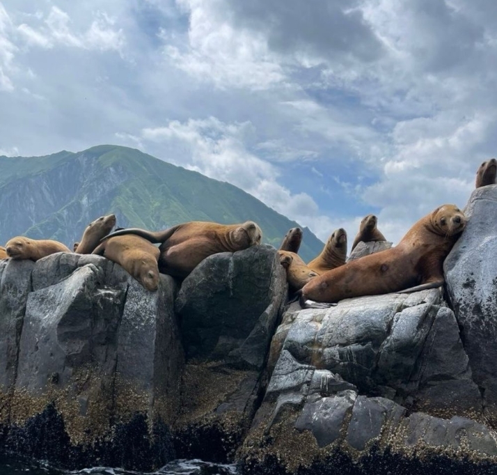 Фото организации