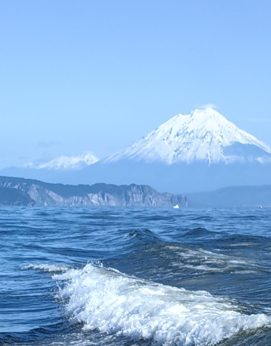 Фото организации