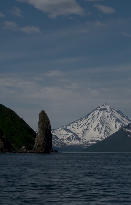 Фото организации