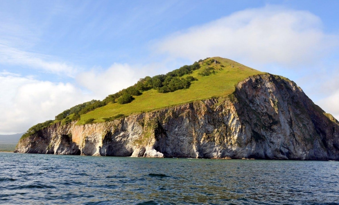 Фото организации