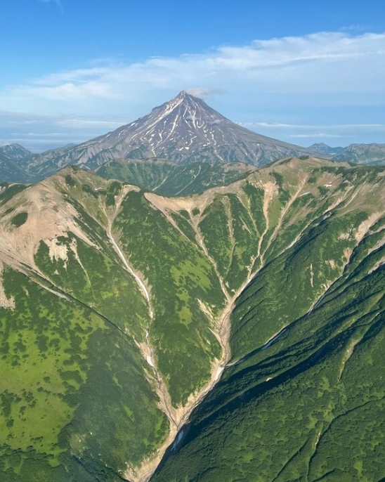 Фото организации