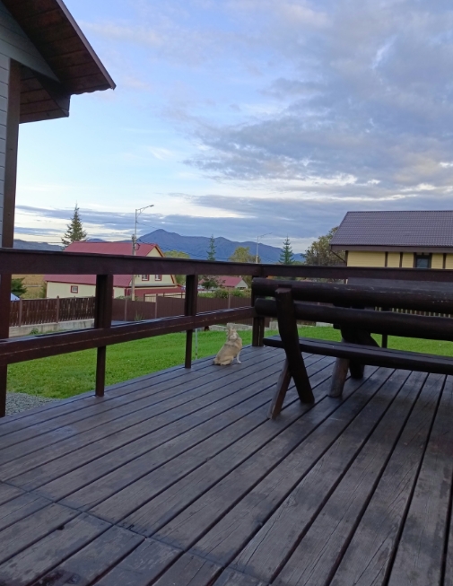 Фото организации