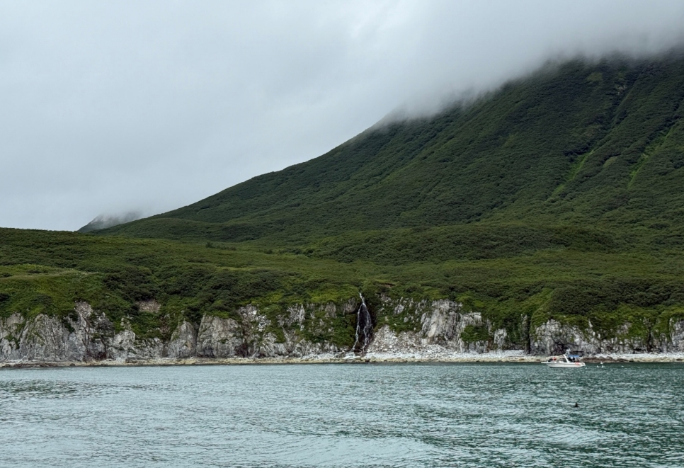 Фото организации