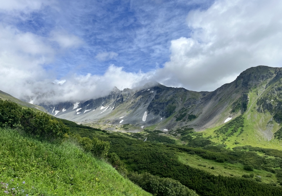 Фото организации
