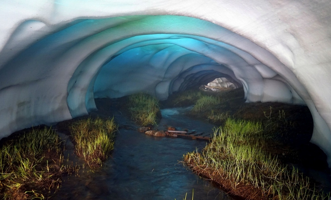 Фото организации