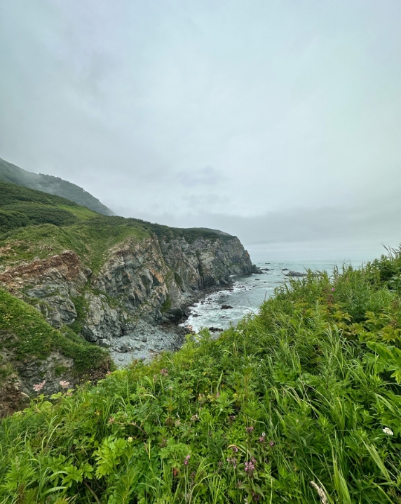 Фото организации