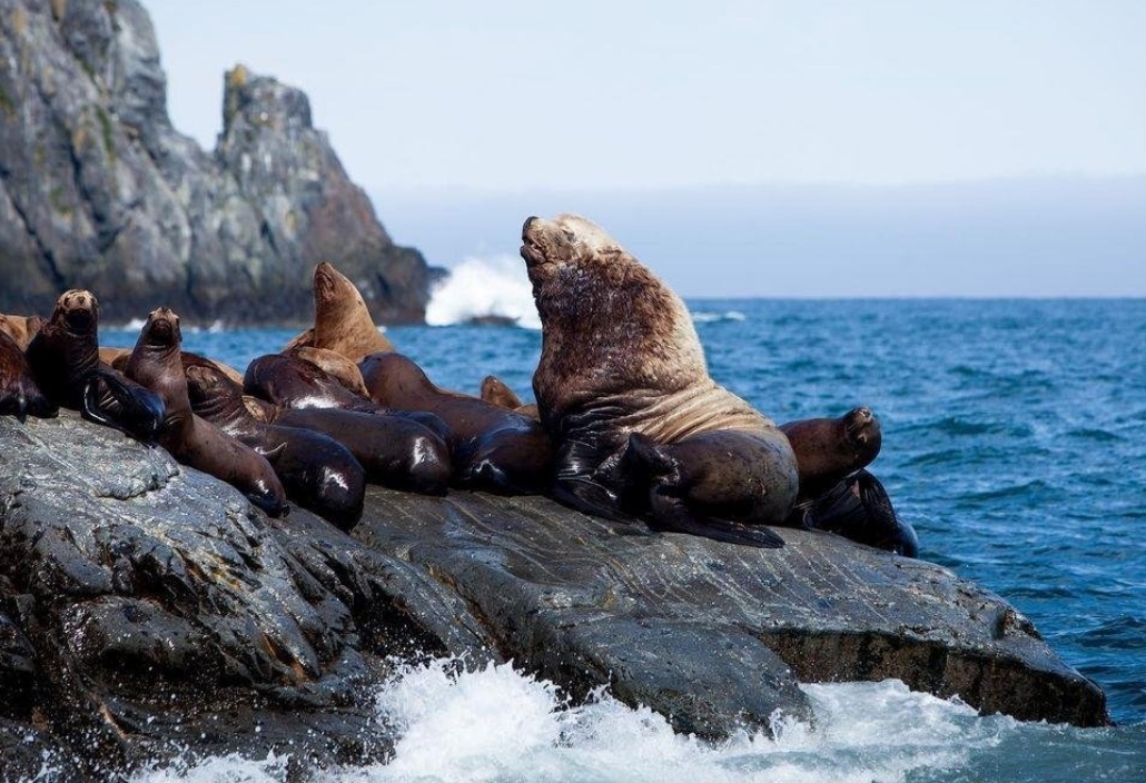 Фото организации