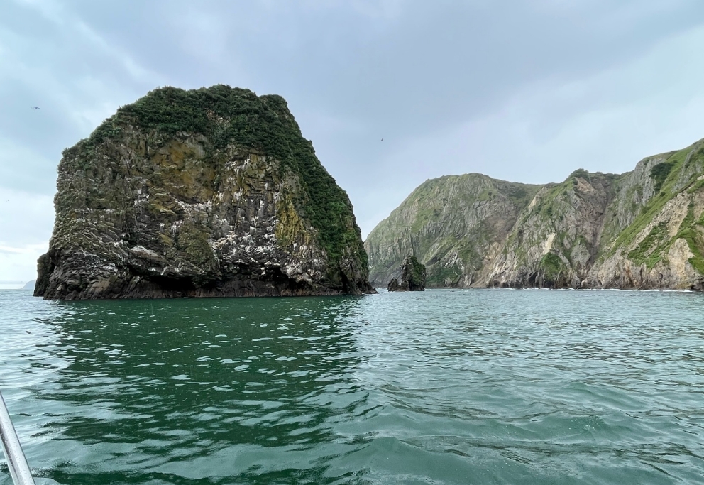 Фото организации