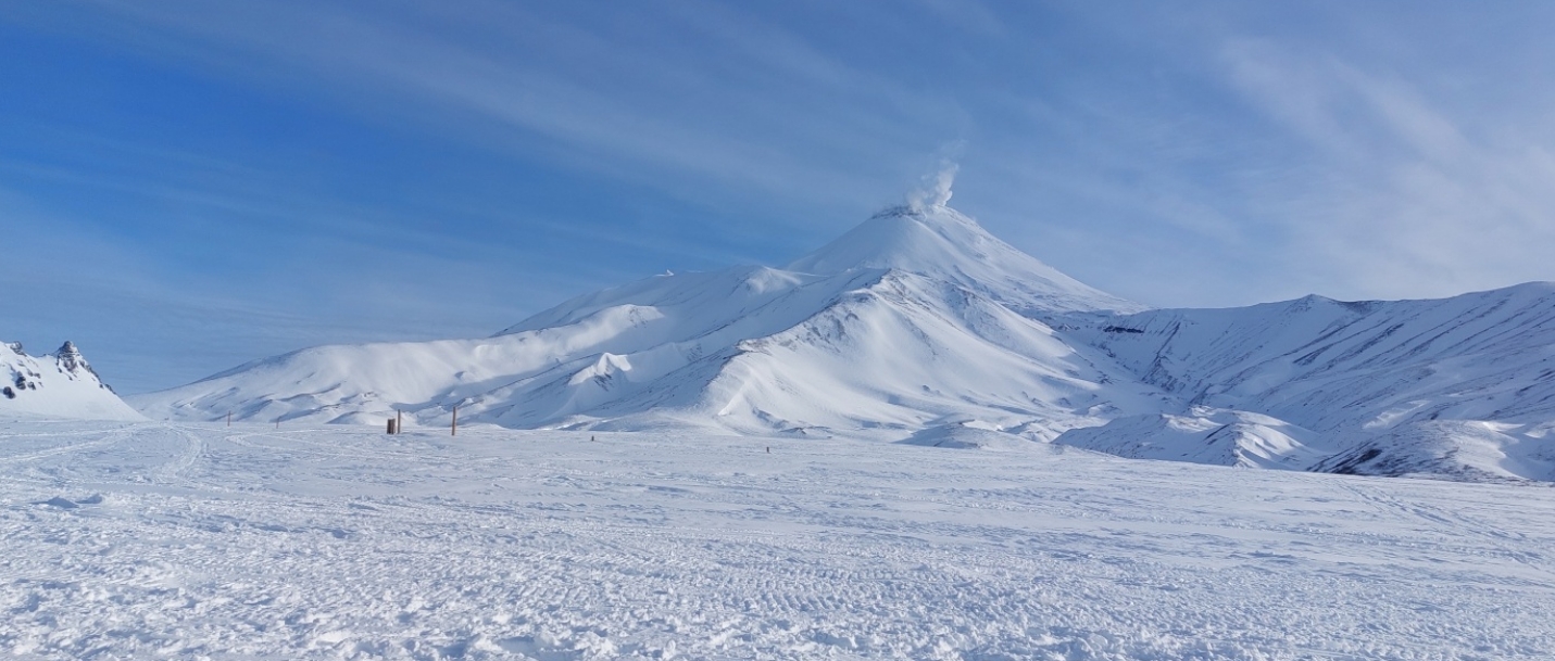 Фото организации