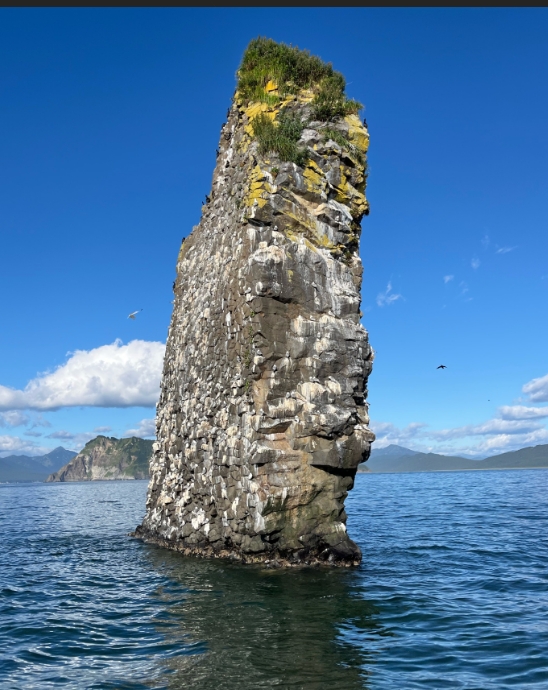 Фото организации