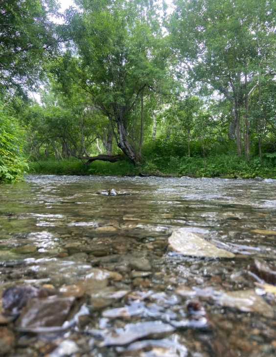 Фото организации