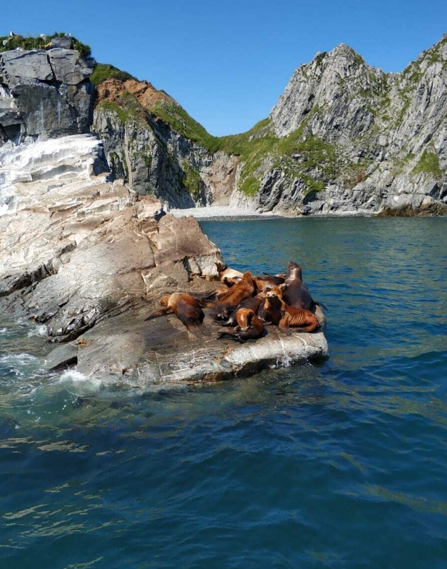 Фото организации