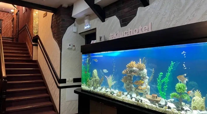 Фото организации